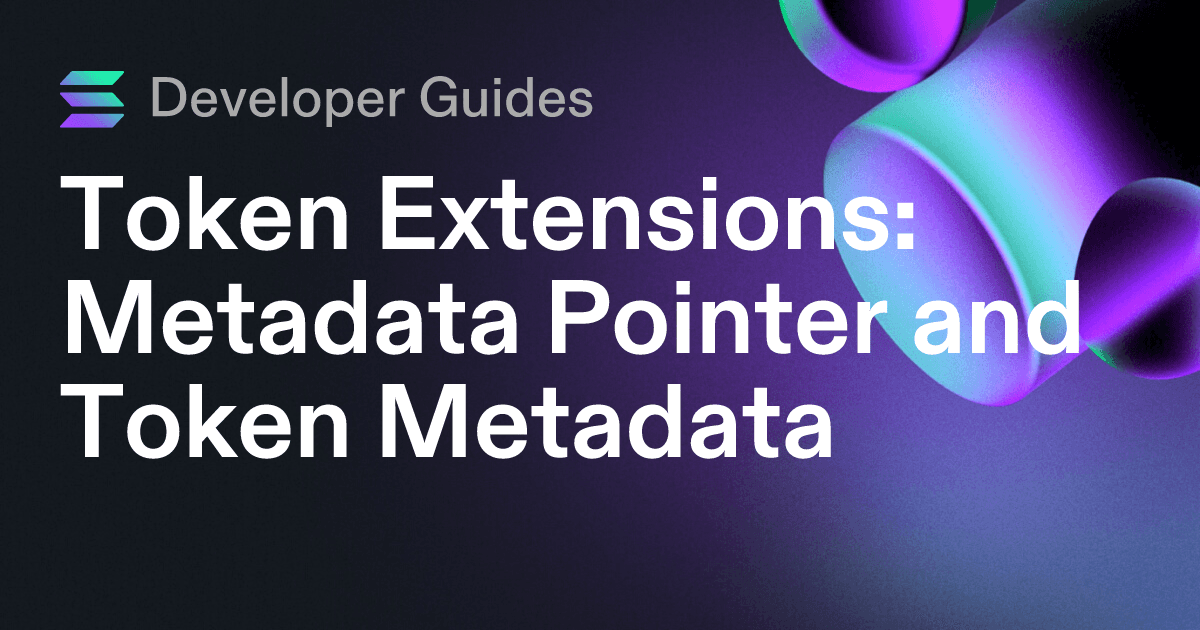 How to use the Metadata Pointer extension